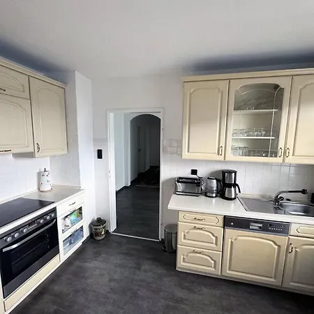 Silva-koerfer * آخن