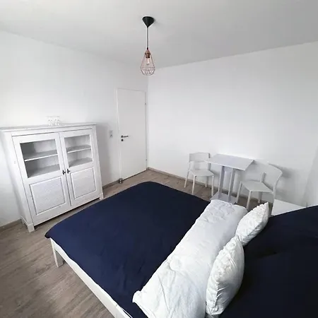 Silva-koerfer Aquisgrà